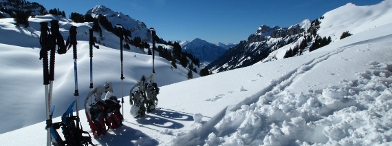 BE, Beatenberg - Habkern, Oberberg, ca 1750m