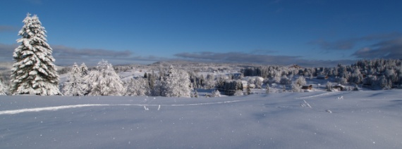 VD, prés de La Cure, ca 1180m