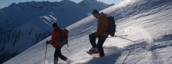 VS, Goms, Reckingen, Treichbode, 2360 m