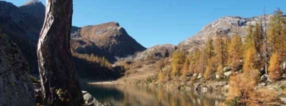 TI, Lago d'Alzasca, 1855 m