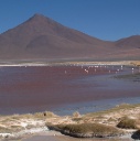 P9237034 RN E Avaroa Laguna colorada128x128
