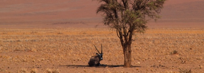 Fernweh Namibia sujet 750x250 1