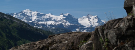 UR, Clariden 3267, Chammliberg 3215, Schärhorn 3295