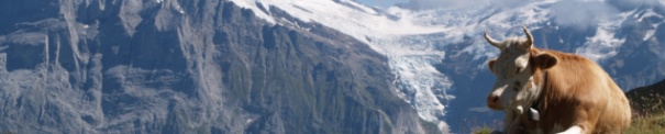 22426907 Wetterhorn Baerglistock Ob Grindelwaldgletscher iH Bachsee iV