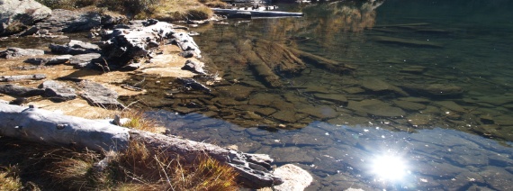 TI, Lago d'Alzasca, 1855 m
