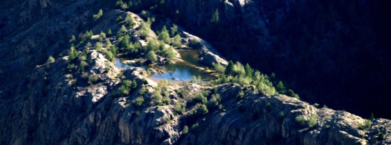 VS, Aletschwald, Grünsee, 1614 m