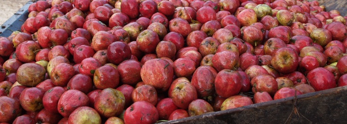 PA020073 Normandie production de cidre