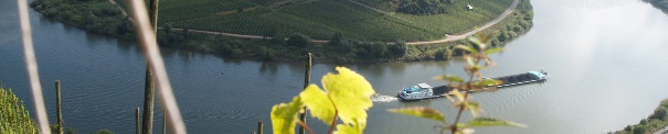 P9229714 Bremm Moselschlaufe