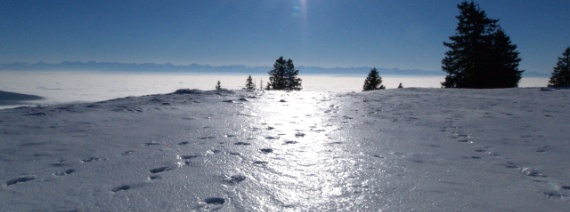 NE, Les Pradières, ca. 1400 m