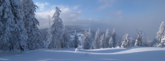 NE, Chasseral, prés de la Métairie de l'Isle, 1420 m