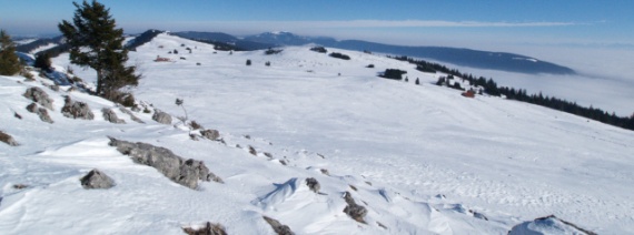 NE, sous le Mont Racine, ca. 1420 m