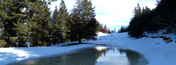 VD, Sainte-Croix, Aiguilles de Baulmes, 1380 m